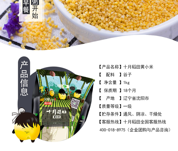 黄小米月子米(5kg试吃装)(图2)